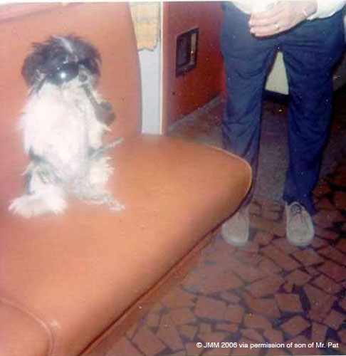 Image-91