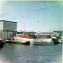 Image-19