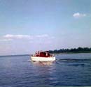 Image-50