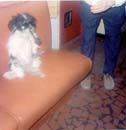Image-91